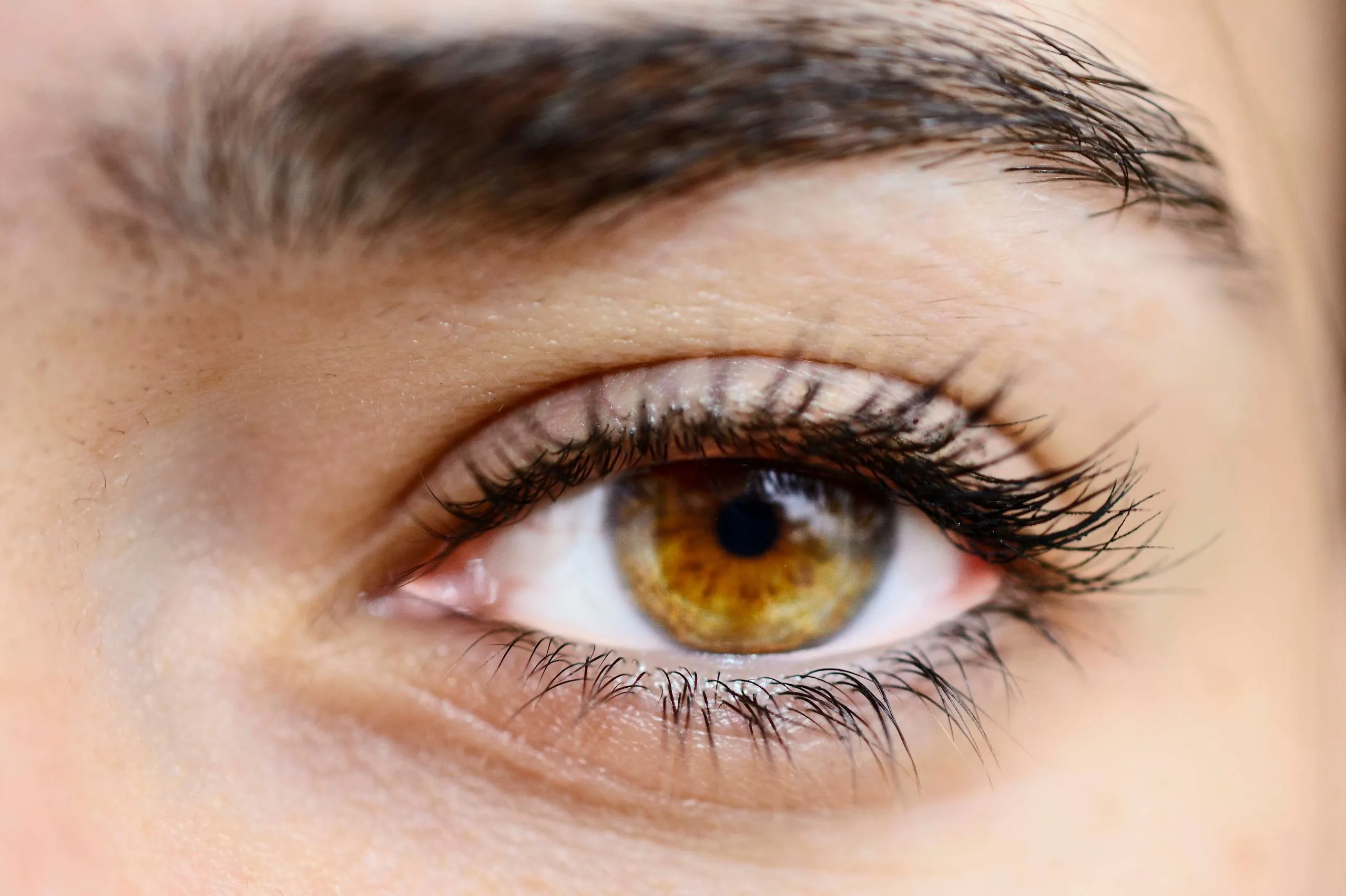 Gros plan d'un iris aux yeux hazel, mélange de marron, de vert et de reflets dorés sous une lumière douce.