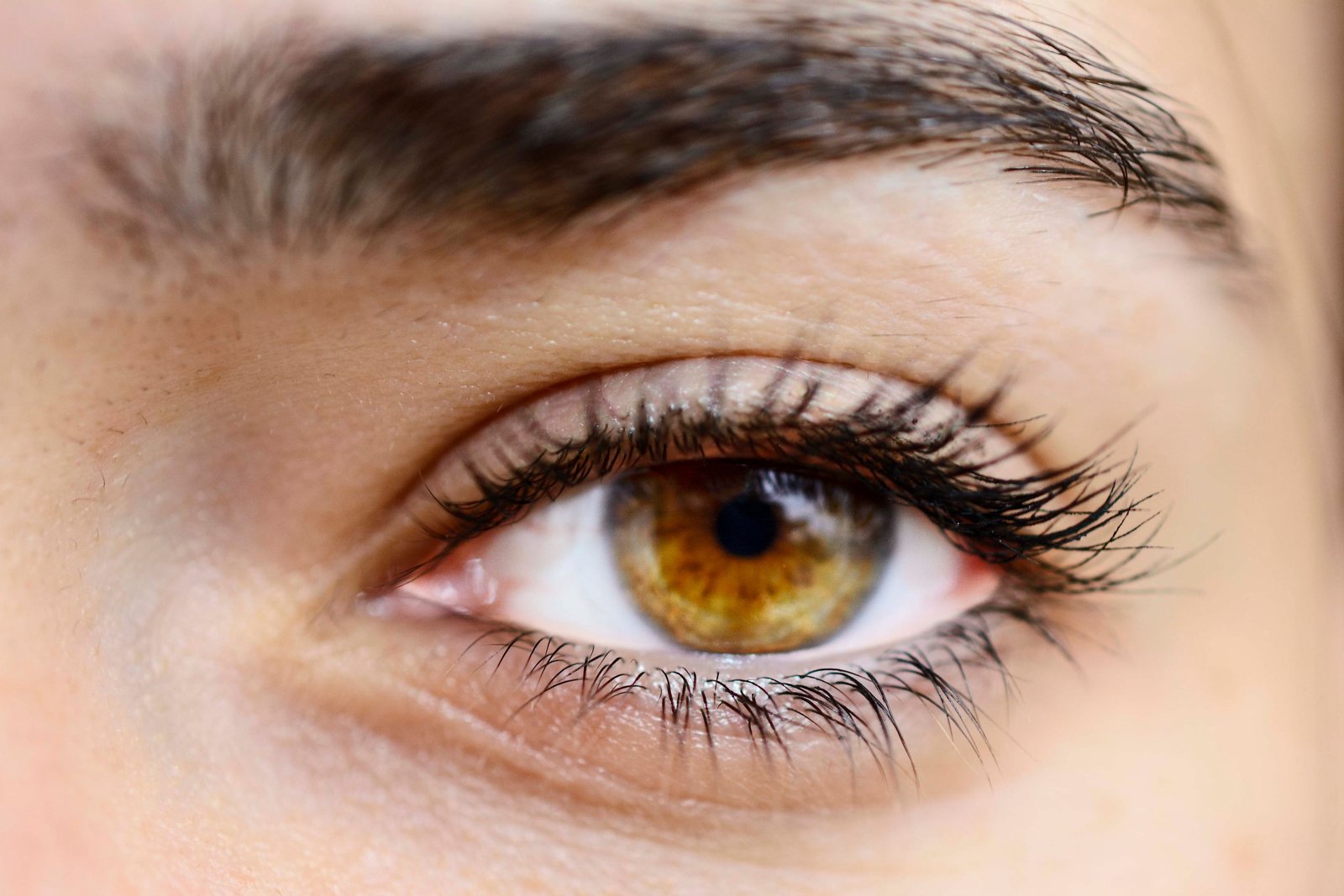 Gros plan d'un iris aux yeux hazel, mélange de marron, de vert et de reflets dorés sous une lumière douce.
